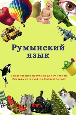 Румынский язык - распечатки для детей | Флэшка, Финский язык, Нидерландский  язык