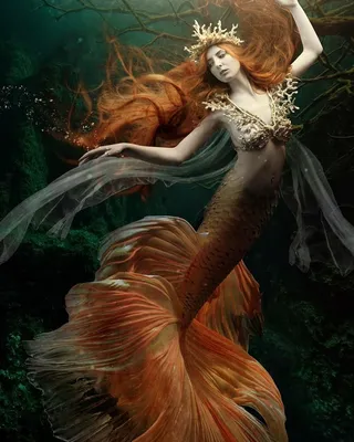русалка в океане под водой с длинными светлыми волосами, фото русалок в  реальной жизни фон картинки и Фото для бесплатной загрузки
