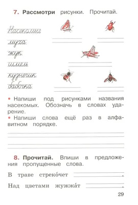 Учебник Русский язык. 6 класс - купить учебника 6 класс в  интернет-магазинах, цены на Мегамаркет | 1653434