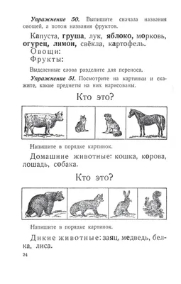 Баранников И. В., Варковицкая Л. А. Русский язык в картинках, 1982