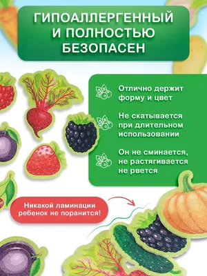 Правила игры Черепашьи бега | Купить настольную игру в магазинах Мосигра