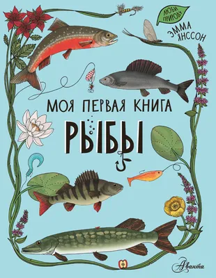 Оказывается, на дне океана тоже живут рыбы. Но они очень странные | РБК Life