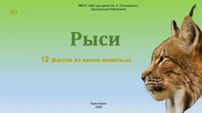 Картины: Рысь в интернет-магазине Ярмарка Мастеров по цене 7500 ₽ – QESNKRU  | Картины, Ставрополь - доставка по России