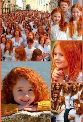 Истории красоток с самым сексуальным цветом волос, почему рыжие — ведьмы,  рыжие волосы - 16 апреля 2023 - НГС