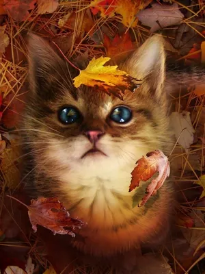 Рыжий кот, осень, рябина, , мягкое …» — создано в Шедевруме