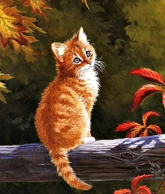 Осень и рыжий кот | Два рыжих кота | Дзен