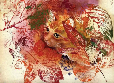 Китти рыжий кот с осенними оранжевыми листьями осенний парк | Премиум Фото