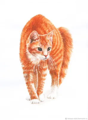 😾 Сегодня же День рыжего кота! Рыжий кот - кусочек солнца в доме!  Психологи считают рыжий цвет самым позитивным... | ВКонтакте