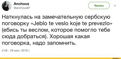 фразы смешные / смешные картинки и другие приколы: комиксы, гиф анимация,  видео, лучший интеллектуальный юмор.