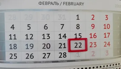 Зеркальная дата: стало известно, сколько пар в Запорожье поженились 22  февраля, — ФОТО | Первый запорожский