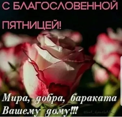 С благословенной пятницей всех Джума Мубарак❤️🥀#напоминание #религия_... |  TikTok