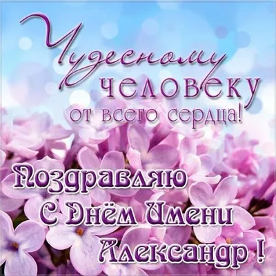 Именины у Александра 12 сентября: душевные открытки с Днём ангела Сашам -  sib.fm