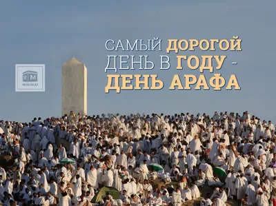 День 'Арафа: особенности и достоинства | muslim.kz