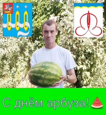 С ДНЕМ АРБУЗА!🍉🍉🍉 А вы сегодня кушали арбуз? Мы пока уговорили дыньку, а  вечером уже холодненького🍉 поедим😄 | Instagram