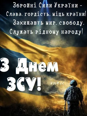 2 декабря - День пушистой нежности - Лента новостей Мелитополя