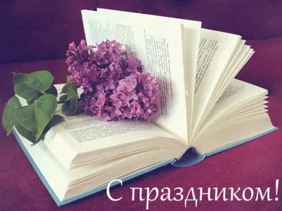 НГАУ | Новости | 27 мая - Всероссийский день библиотек!