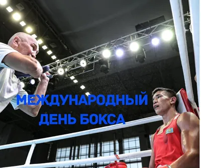 Владимир. Администрация города. - 🥊 Поздравляем с международным Днём бокса  всех профессионалов и любителей. Особо хотелось бы отметить владимирских  спортсменов, показывающих прекрасные результаты на международных и  внутренних соревнованиях ...