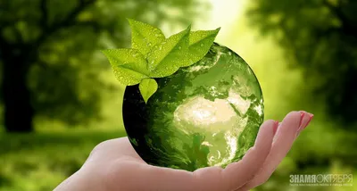 Всемирный день окружающей среды - день эколога - ФГБУ ЦЛАТИ по ПФО