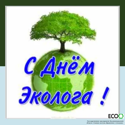 День эколога и всемирный день окружающей среды – АНРО технолоджи