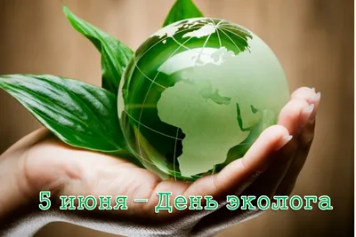 5 июня — День эколога | 04.06.2021 | Черноморское - БезФормата