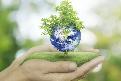 Поздравление Геннадия Нараева со Всемирным днем окружающей среды и Днем  эколога - Лента новостей Крыма