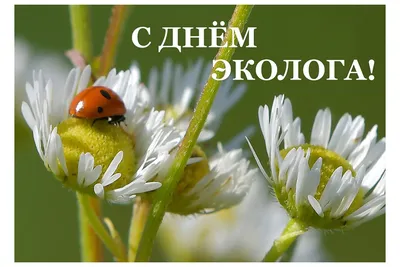5 июня отмечается День эколога 🌲 - Алматинский Технологический Университет