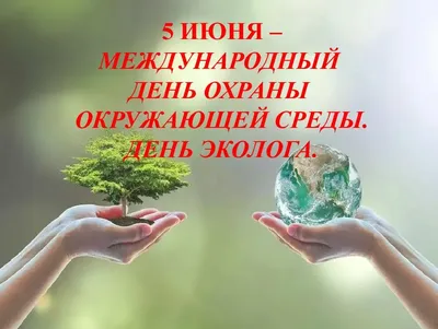 День эколога 2023: какого числа праздник в России
