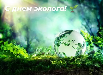 5 июня – Всемирный день охраны окружающей среды и День эколога — Заповедник  Черные земли — Официальный сайт