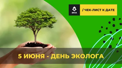 Сегодня — Всемирный день окружающей среды и День эколога - ГКУ «Дирекция  особо охраняемых природных территорий Санкт-Петербурга»
