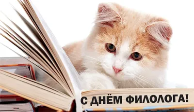 В России отмечается День филолога | ГТРК Саратов
