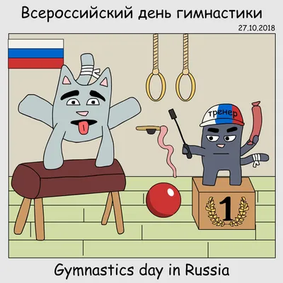 ГАУ ДО НСО \"Спортивная школа художественной гимнастики\": Поздравляем с Днем  Физкультурника и Всероссийским олимпийским днем!