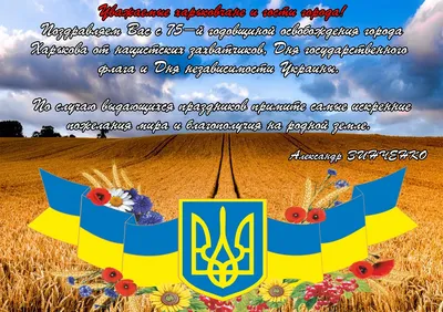 Режим работы на День города и День независимости | Ломбард \"КІТ ГРУП\" - м.  Харків