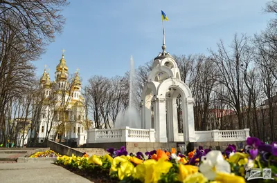 Мэр Харькова поздравил горожан с Днем местного самоуправления