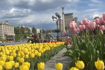 День Києва 2023: Куди піти та де відпочити?