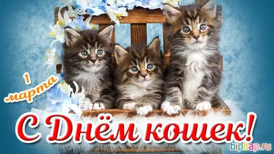 День кошек - Праздники сегодня | Праздник, Открытки, Кошачьи картины