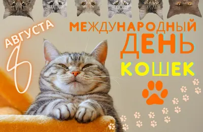 1 марта - День кошек России