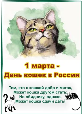 Всемирный День кошек во Владивостоке 7 августа 2022 в Сделано в Приморье