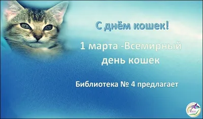 Всемирный день кошки 2022: картинки на украинском, поздравления в прозе и  стихах — Украина