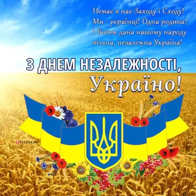 З ДНЕМ НЕЗАЛЕЖНОСТІ УКРАЇНИ! — ТОВ \"Запоріжжяелектропостачання\"