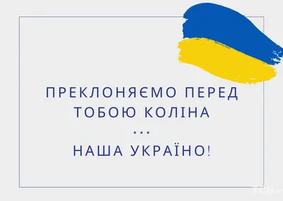 🇺🇦 З Днем Незалежності України 2023: привітання й листівки для сторіс -  Moonzori | Movie posters, Poster, Picture