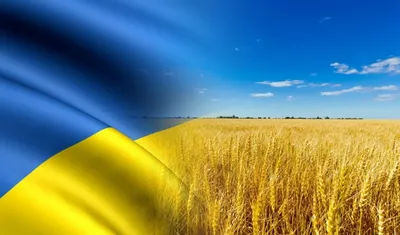 З Днем Незалежності України! — ПРУПУ Сташкова