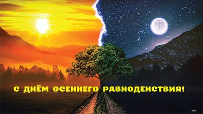 День осеннего равноденствия 2023: что это, какого числа будет, история,  традиции и приметы: Общество: Россия: Lenta.ru