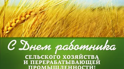 С Днем работника сельского хозяйства и перерабатывающей промышленности |  БЕЛИНТЕРЭКСПО