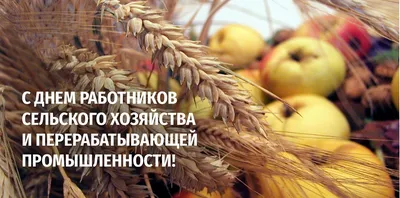 Поздравление с Днем работников сельского хозяйства и перерабатывающей  промышленности 2022 — ГПО «Белэнерго»