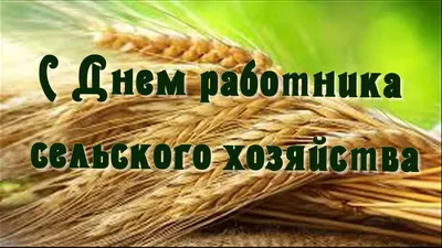 Поздравление Константина Клюки с Днем работника сельского хозяйства и  перерабатывающей промышленности - Агропромышленный холдинг «ПРОМАГРО»