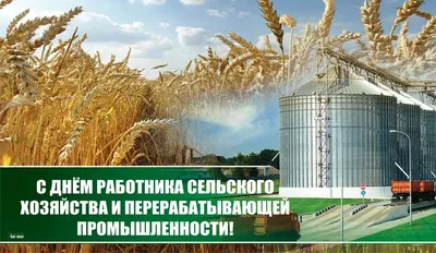 День работников сельского хозяйства и перерабатывающей промышленности РФ -  Группа компаний Капитал ПРОК