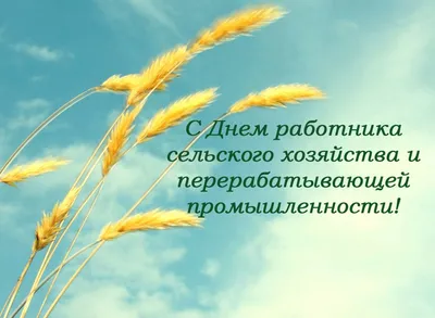 Наша жизнь - С Днем работников сельского хозяйства и перерабатывающей  промышленности агропромышленного комплекса