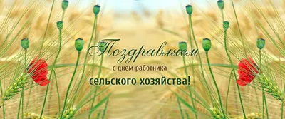 С Днем работника сельского хозяйства и перерабатывающей промышленности! -  Объявления - Новости, объявления, события - Городской округ Заринск