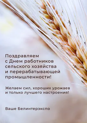 Поздравляем работников сельского хозяйства и перерабатывающей  промышленности с профессиональным праздником!