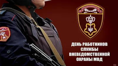 30 сентября отмечается День сил специального назначения Росгвардии | РИА  Стрела | РИА «Стрела»